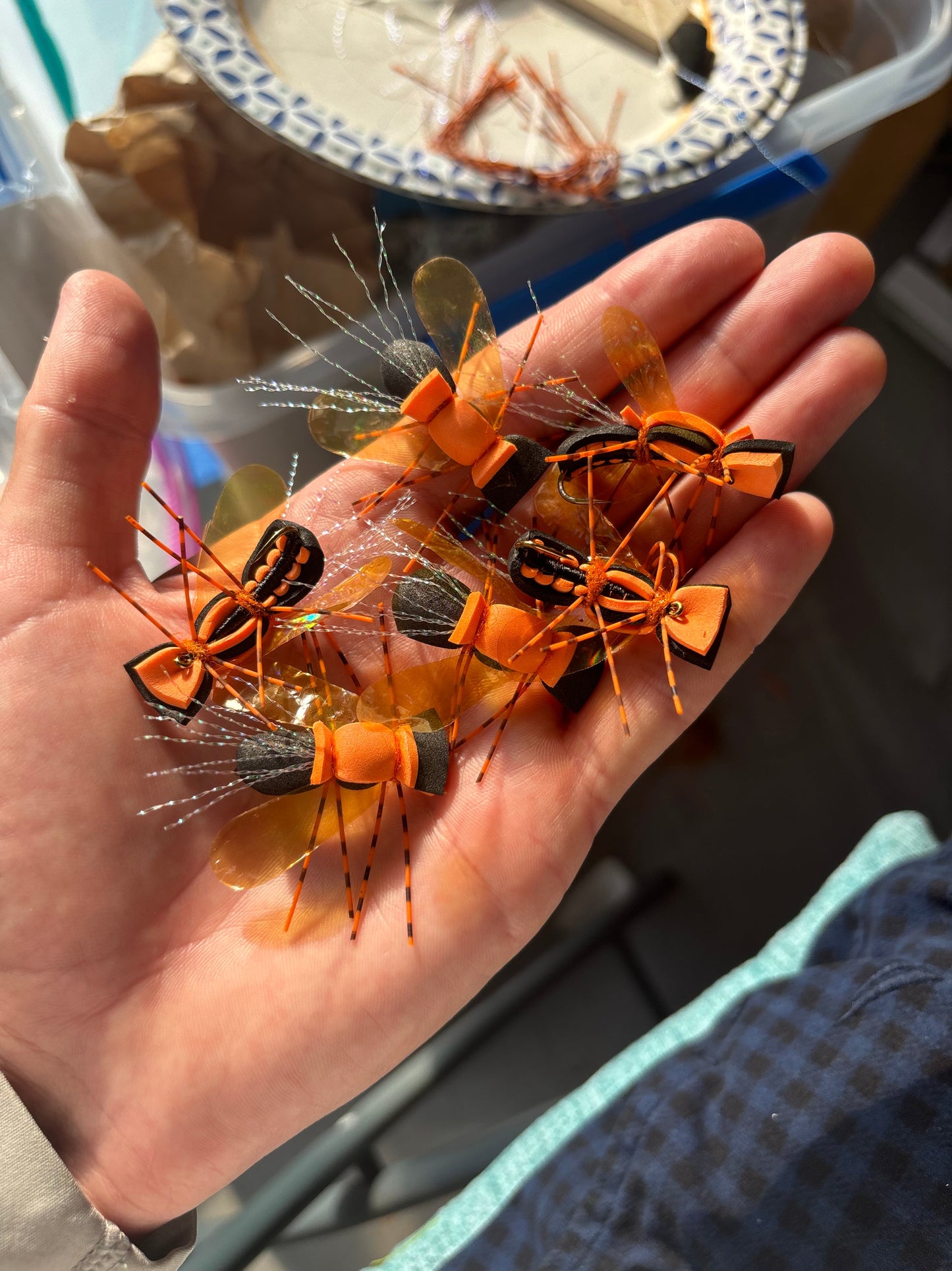 Custom Cicada Order | Carson Grantham