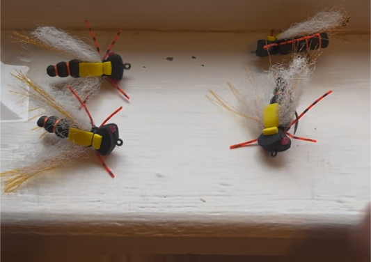 Custom Cicada Order #2 | Zack Daugherty