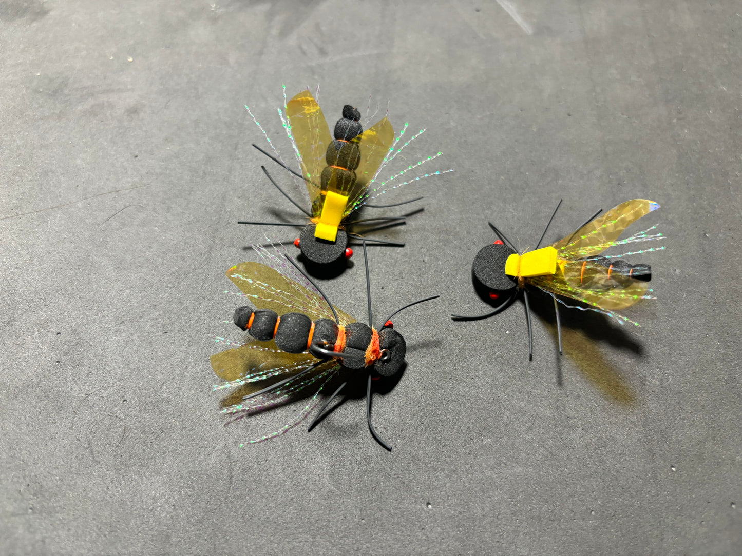 Custom Cicada Order | Thomas Adams