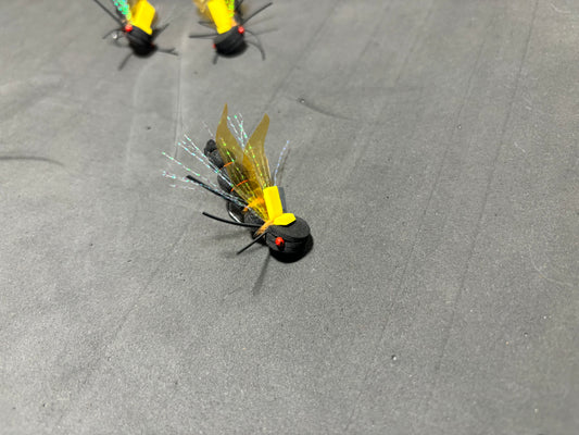 Custom Cicada Order | Thomas Adams