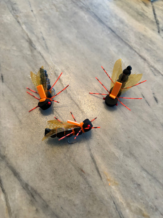 Custom Cicada Order | Cory Fisher